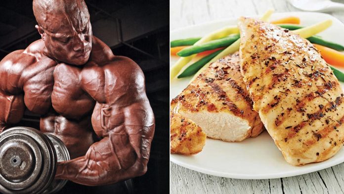 FOODS WITH THE MOST PROTEIN